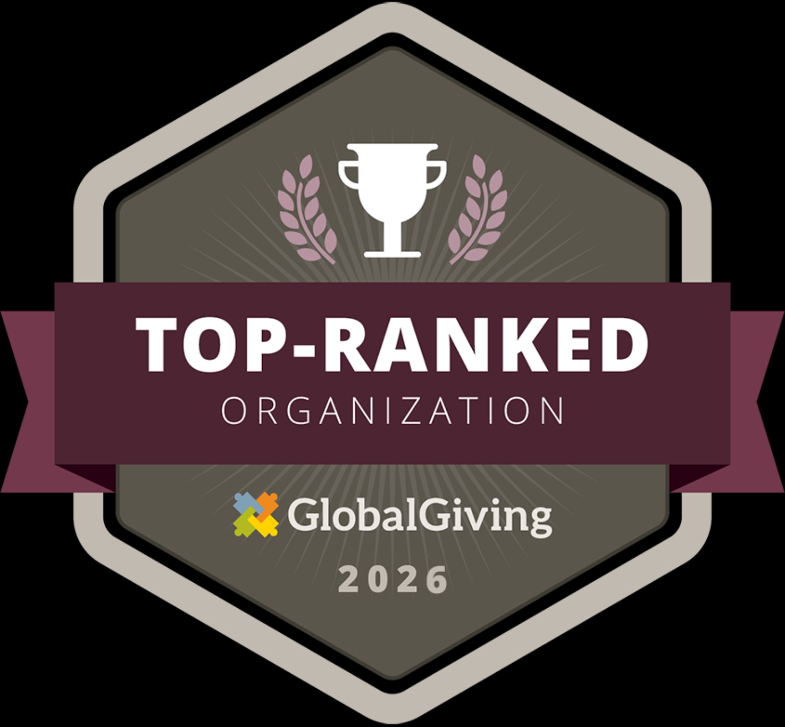 GlobalGiving Top-Ranked Organization 2026 badge