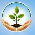 Siketis Nergi / Sapling of Kindness